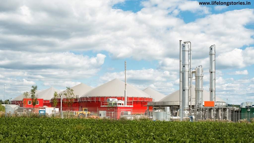 Biomass Energy image