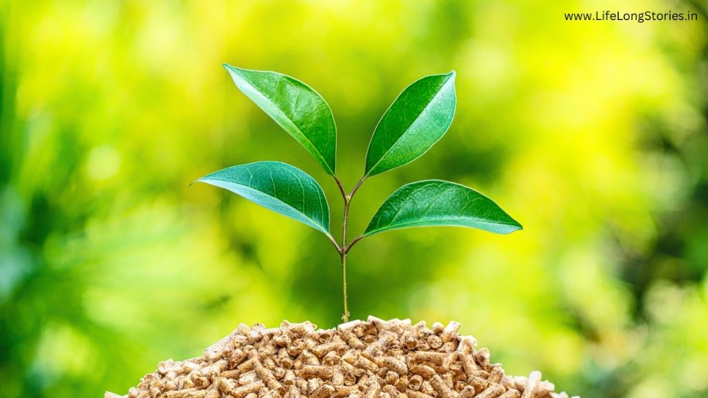 Biomass Energy